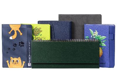 Набор образцов ежедневников из 6 предметов Start