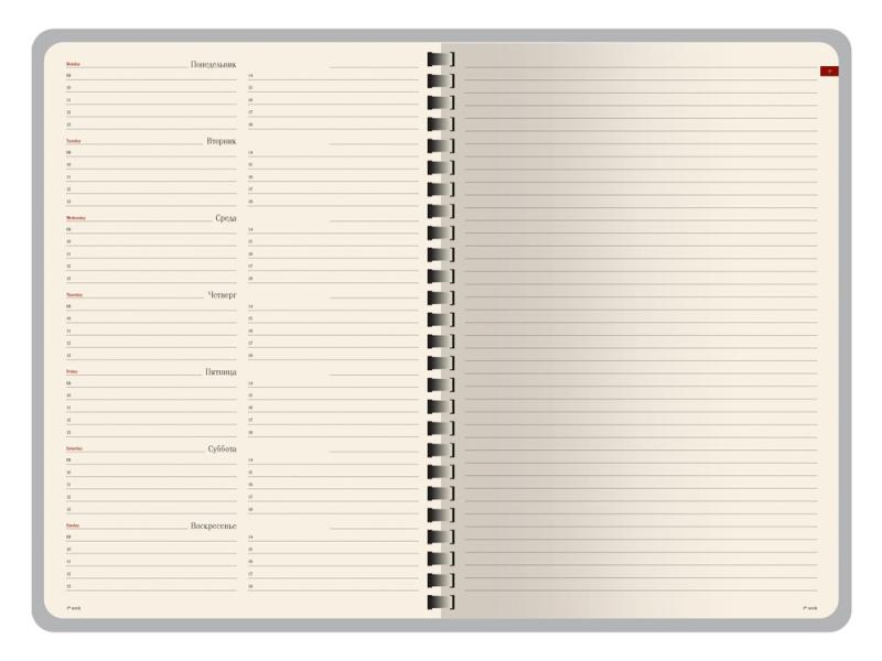 Еженедельник недатированный А5 Concept