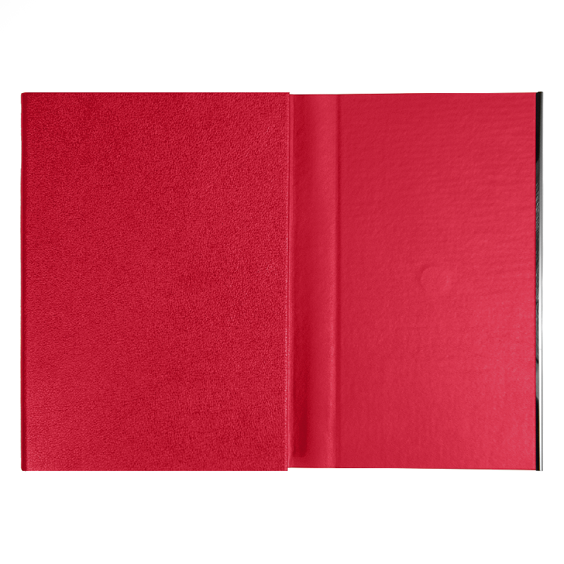 Ежедневник Alfa Bird Petrus A5, недатированный, в твердой обложке еталлическим элементом