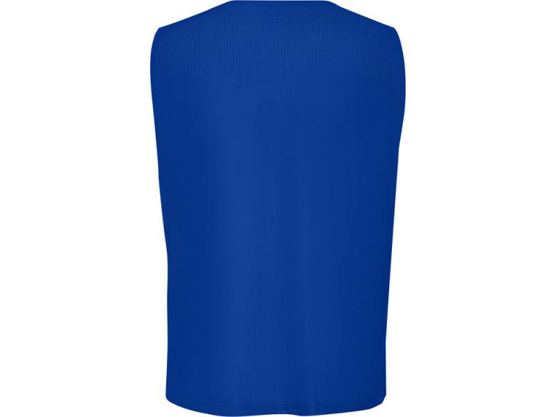 Манишка спортивная Roma, унисекс