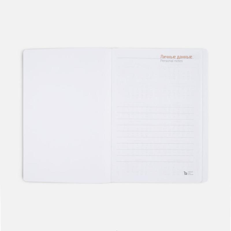 Ежедневник Flex Shall, датированный