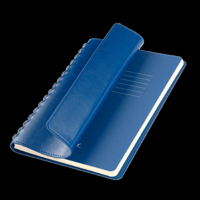 Ежедневник Vista Neo недатированный, 