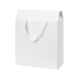 Подарочная коробка-пакет универсальная большая