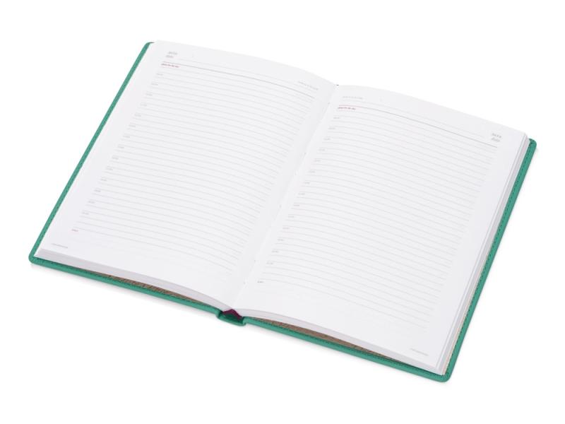 Ежедневник недатированный А5 Velvet