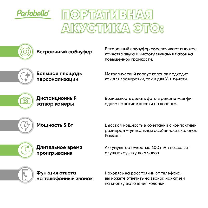 Беспроводная колонка Пассион (Passion) 80dB 600 mAh (Bluetooth 5.0)