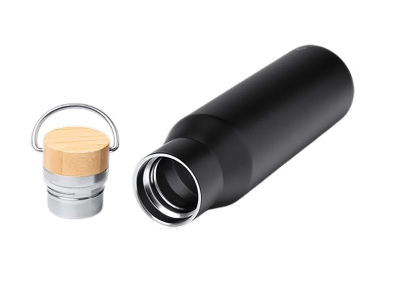 Термобутылка с ручкой Мэйер, 550 мл