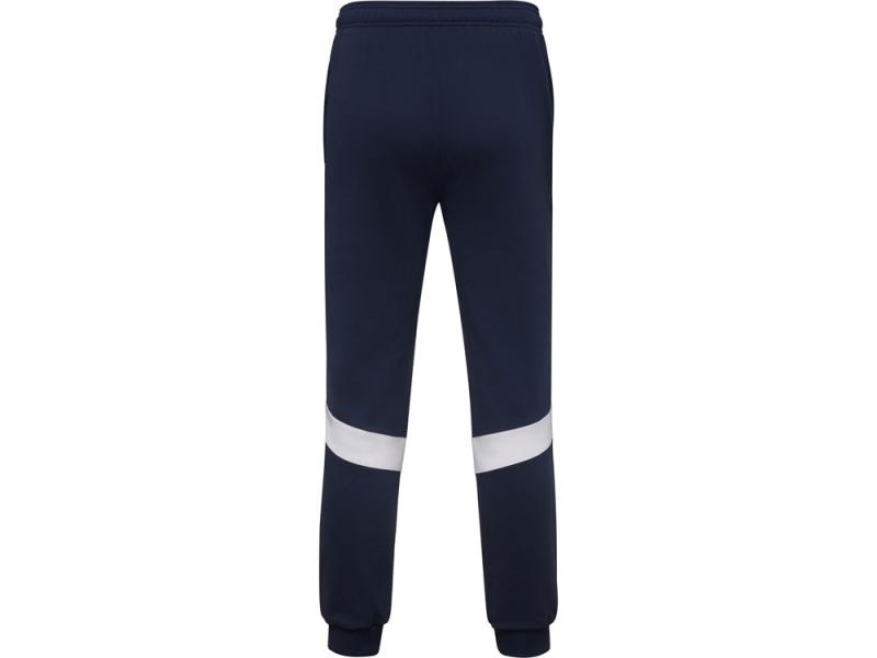 Брюки спортивные Rodas, мужские