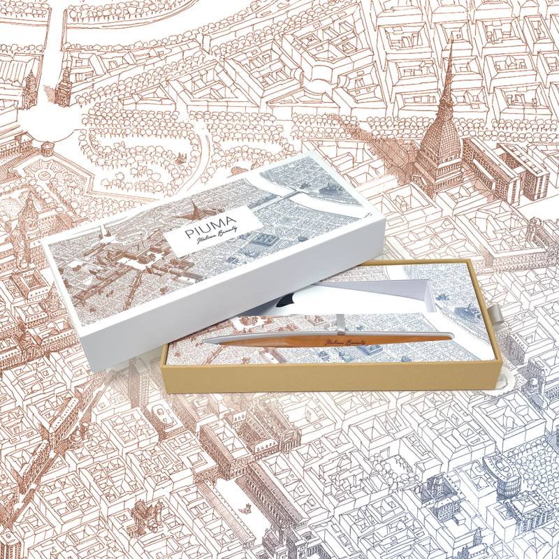 Вечная ручка Pininfarina Piuma TORINO