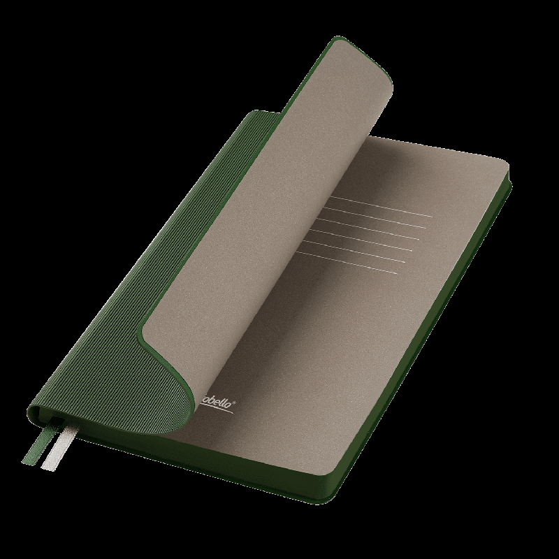 Ежедневник Rain недатированный