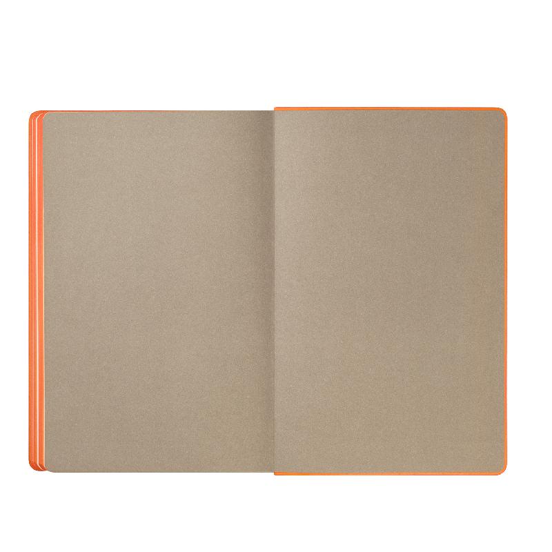 Ежедневник Рейн (Rain) недатированный,  (без упаковки, без стикера)