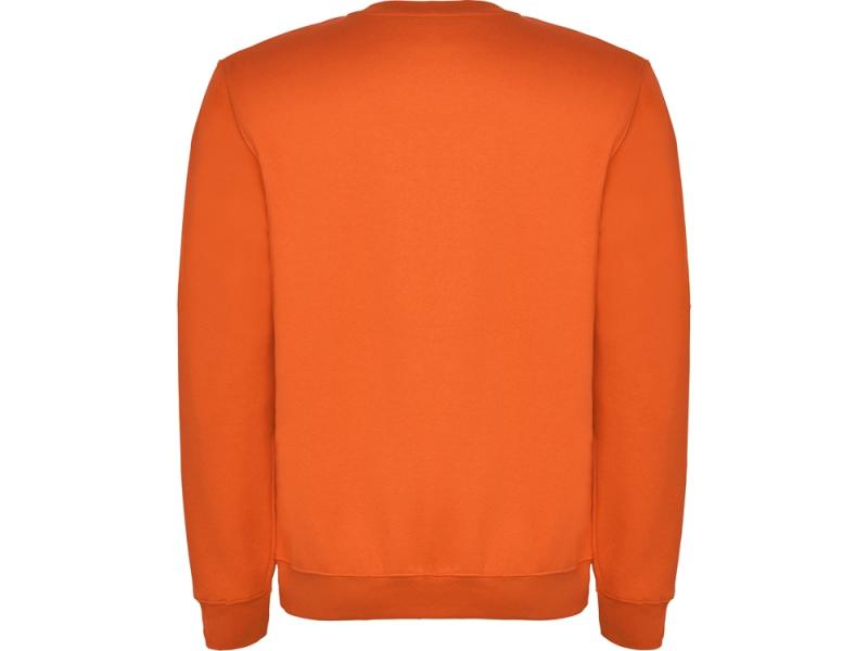 Свитшот с начесом Clasica детский