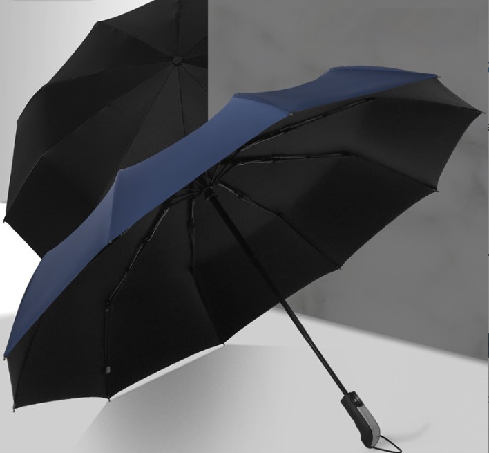 Зонт складной автоматический  Forest BERGEN, диаметр 116 см, 10 панелей, с UV защитой в подарочной коробке