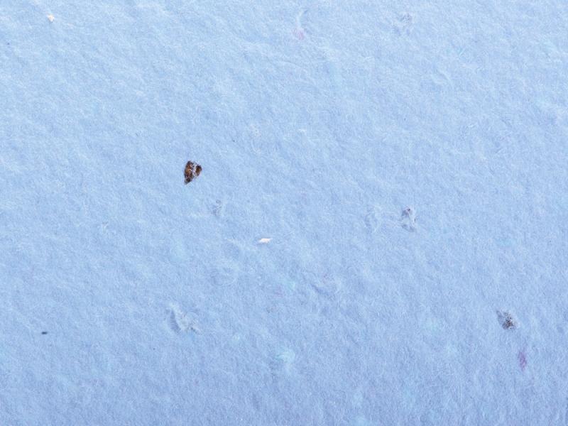 Блокнот А6 с бумажным карандашом и семенами цветов микс