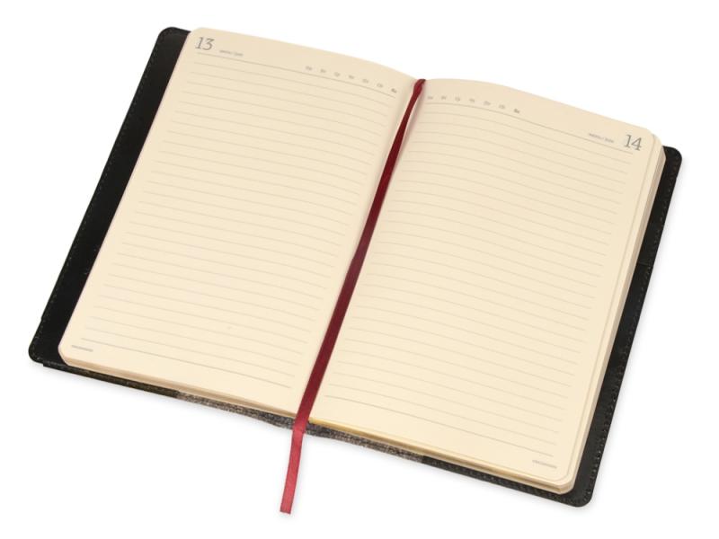 Ежедневник полудатированный портфолио А5 Profy