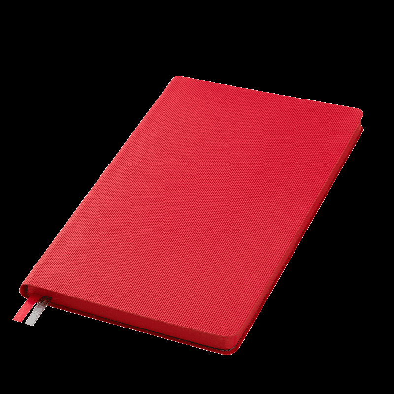 Ежедневник Rain недатированный