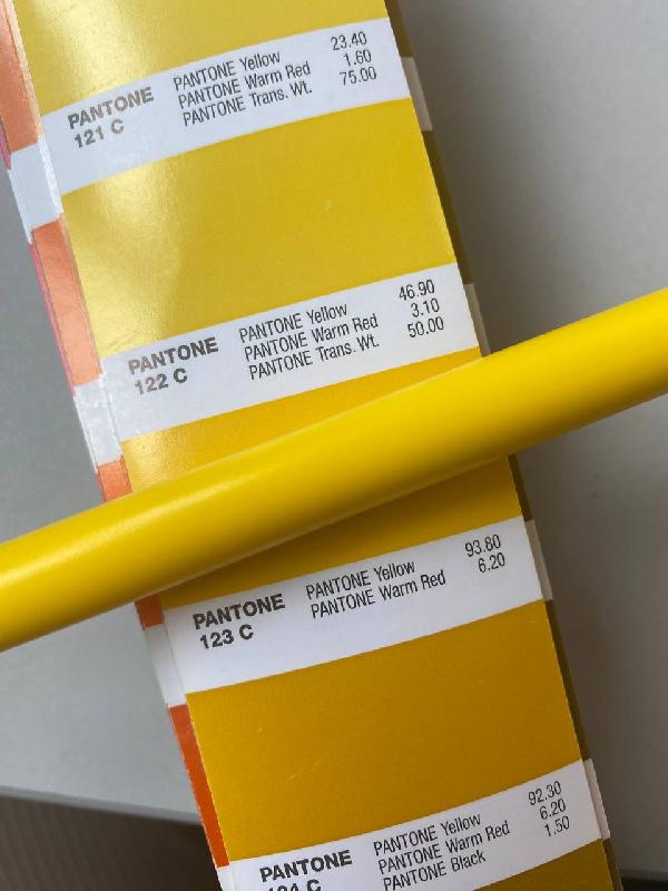 Ручка шариковая IGLA COLOR, пластиковая