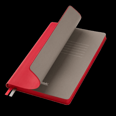 Ежедневник Рейн (Rain) недатированный,  (без упаковки, без стикера)