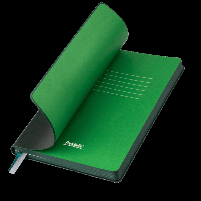 Ежедневник Voyage недатированный, 