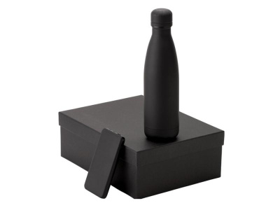 Подарочный набор COLOR IT с термобутылкой и повербанком