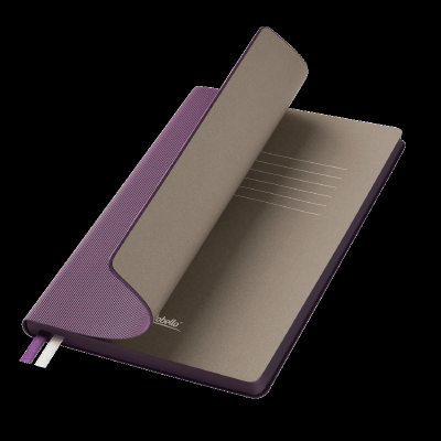 Ежедневник Рейн (Rain) недатированный, (без упаковки, без стикера)