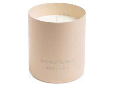 Ароматическая свеча Echoes of Kindness