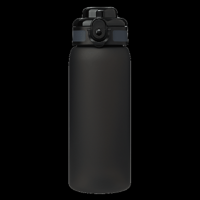 Бутылка для воды Ройс (Roys)