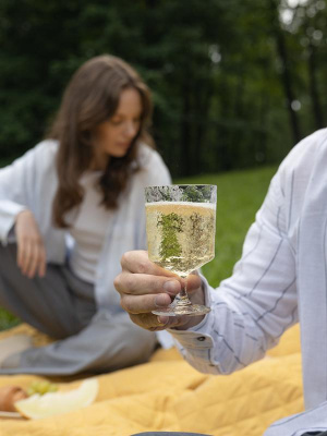 Набор бокалов из акрила arctic для вина, 280 мл, 4 шт.