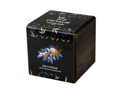 Набор для выращивания Small village cube Ель Голубая