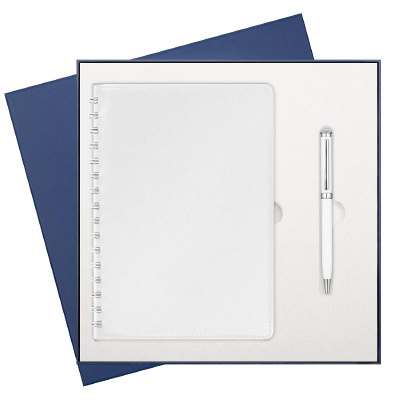 Подарочный набор Vista Neo,  (ежедневник, ручка)