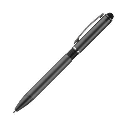 Шариковая ручка АйПи Хамелеон (IP Chameleon)