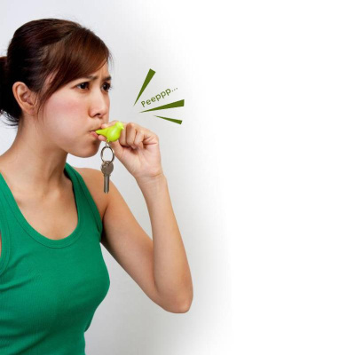 Держатель для ключей sparrow