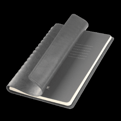 Ежедневник Vista Neo недатированный