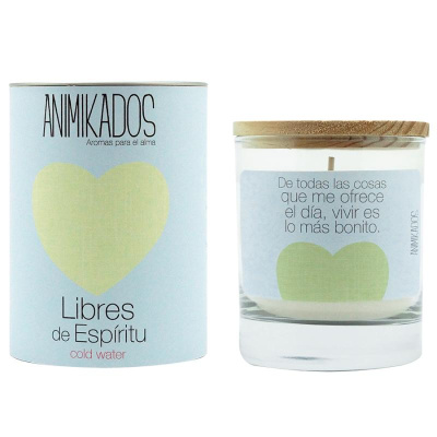 Свеча ароматическая animikados, dream catcher, Холодная вода, 40 ч.