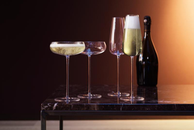 Набор анок для шампанского wine culture, 320 мл, 2 шт.