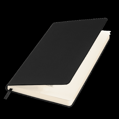 Ежедневник Альфа Битубук (Alpha BtoBook) недатированный,  (без резинки, без упаковки, без стикера)