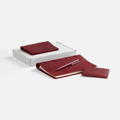 Набор inStream Maxi