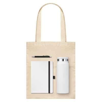 Подарочный набор Arctic,  (ежедневник, ручка, термобутылка, шоппер)