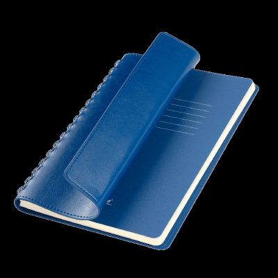 Ежедневник Виста Нео (Vista Neo) недатированный, 