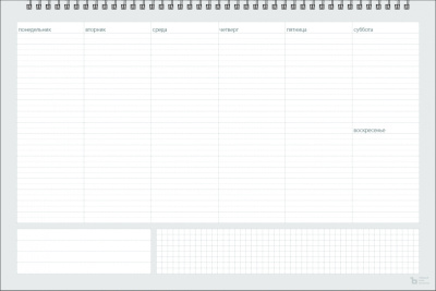 Планинг, планер недатированный<br />40х30 см, 104 стр.
